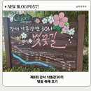 제8회 강서 낙동강30리 벚꽃국제 후기