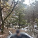 제천온천관광지 | 제천 겨울여행 추천 포레스트 리솜 후기 주차