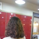 고고헤어gogoHair Daum카페