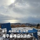 은혜농장 | [제주올레길 9코스 정방향] 대평포구 → 화순금모레해수욕장 11.9km, 군산오름에서 만난 제주 바다 절경