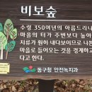 팔공산 옻골 경주최씨 종택 이미지