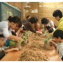 계림초등학교 병설유치원 이미지