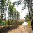 황방산생태야영장 이미지