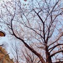 안양바다낚시터 네이버블로그