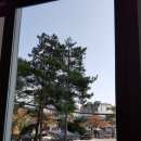 입주청소청소패밀리 이미지