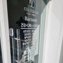 치유하모니 | 편하게 누워서 할 수 있는 다이어트가 있다고? 독소배출 셀포랩하모니 체지방관리 후기