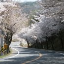 꽃길만걷자6 이미지
