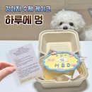 멍하루 | [수원 화서] 하루에멍 수제 강아지 케이크 내돈내산 후기