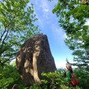 산창 62-알 수 없는 저 눈빛 정격 시조(홍천 소뿔산)/반산 한상철 이미지