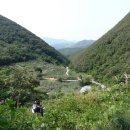 현천농장 이미지