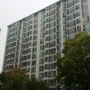 늘푸른1길 이미지