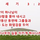 생명나무 이미지