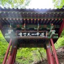 신선대 중턱 네이버블로그