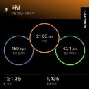 2025 보성녹차마라톤대회 후기&lt;ft. 뛰어야산다&gt;