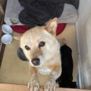 마리나여관 이미지