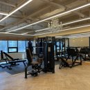 라이트바디짐 이미지