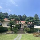 늘봄딸기농원 | 고양시 로더우드 카페 도심 속 조용한 아지트 같은 공간