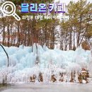 애견왕국 | 의정부 애견동반 대형카페 빙벽 달리온 한국판 겨울왕국 내돈내산 방문 후기