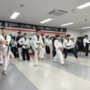 태권도 비전팀 이미지