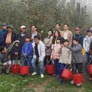 내포긴들영농조합법인 이미지