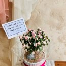 상남동179 이미지