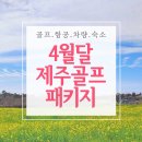 4월달 제주도골프(주중)패키지 2박3일 54홀 - 479,000원~ 이미지