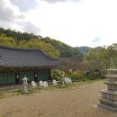 죽림사 Daum카페
