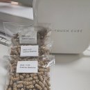 스프링 햄스터 이미지