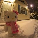 으뜸생선 이미지