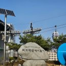 [국내여행] 9미(덕자, 호롱이, 꽃게살무침, 콩물)먹으러 목포여행