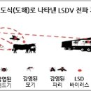 폭스스킨 이미지