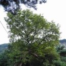 산돌아민박 이미지