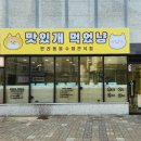 맛있개 먹었냥 이미지