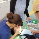 서울키즈치과의원 이미지