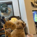 아랫목식당 | [전주] 애견동반 숙박/식당/카페 총정리! 내돈내산 1박 2일 완벽 코스 1편 (반려견 에티켓 및 꿀팁공유)