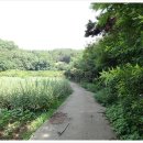 북봉산(다봉산)_숲길(등산)1코스 | 햇볕은 쨍쨍~~ 정신줄은 오락가락~