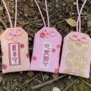 오마모리 이미지