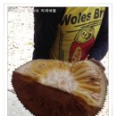 수방농장 티스토리