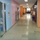 잠현초등학교 이미지