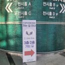 Dear Daeng | [2025년 02월07~08일] 케일페&amp;닷닷닷3
