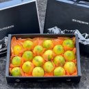 오늘도 신선 이미지