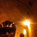 신항민박 이미지