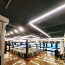 헤라복싱클럽 이미지