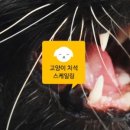 정평동물병원 이미지