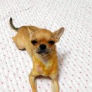 비산7동우체국 이미지