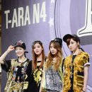 브라운독 이미지