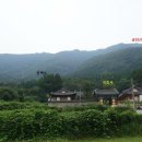 굴암산 [屈岩山] 편백나무숲길 대장동계곡 피서산행 (청솔산악회) 이미지