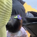 경산주짓수