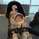 스파리조트 안단테 호텔 | 🏝️ [오키나와 가족여행 숙소 추천] 돌아기와 함께한 오리엔탈 호텔 리조트&amp;스파 솔직 후기 🌺