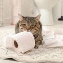 목포동문외과의원 이미지